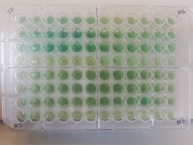 Avaliacao-da-atividade-enzimatica-da-urease